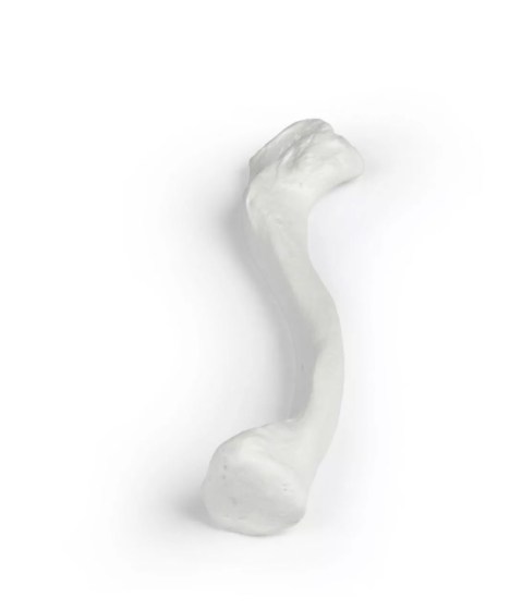 img1409-2_560x560 image img1409-2